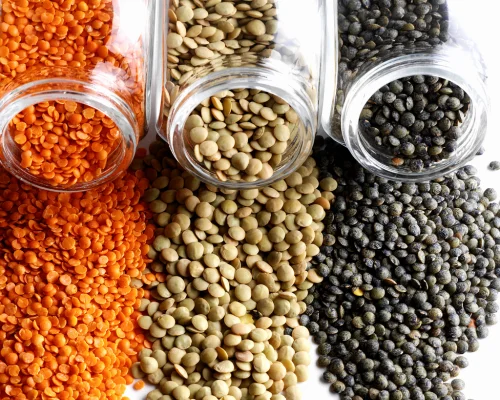 High Protein Lentils
