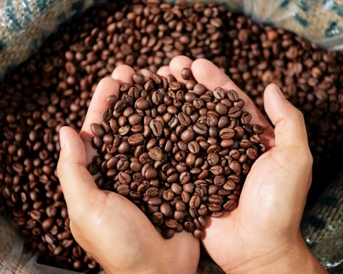 Roasted Coffee Beans